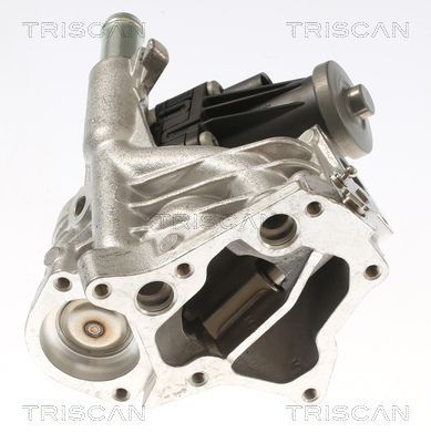 ERG vožtuvas TRISCAN 8813 10118