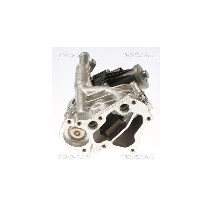 ERG vožtuvas TRISCAN 8813 10118