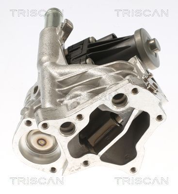 ERG vožtuvas TRISCAN 8813 10118