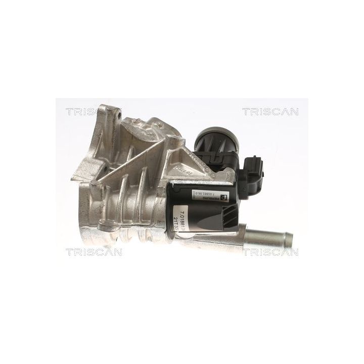 ERG vožtuvas TRISCAN 8813 10118