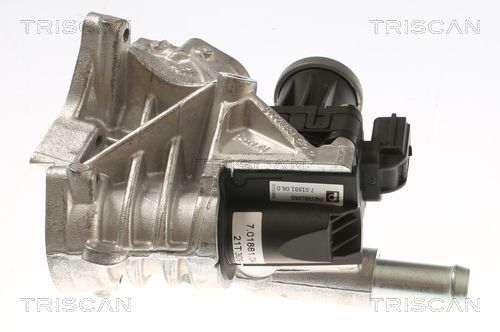 ERG vožtuvas TRISCAN 8813 10118