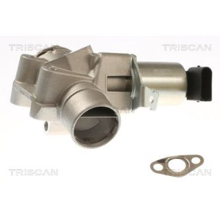 ERG vožtuvas TRISCAN 8813 23044