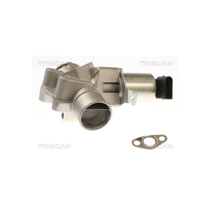 ERG vožtuvas TRISCAN 8813 23044