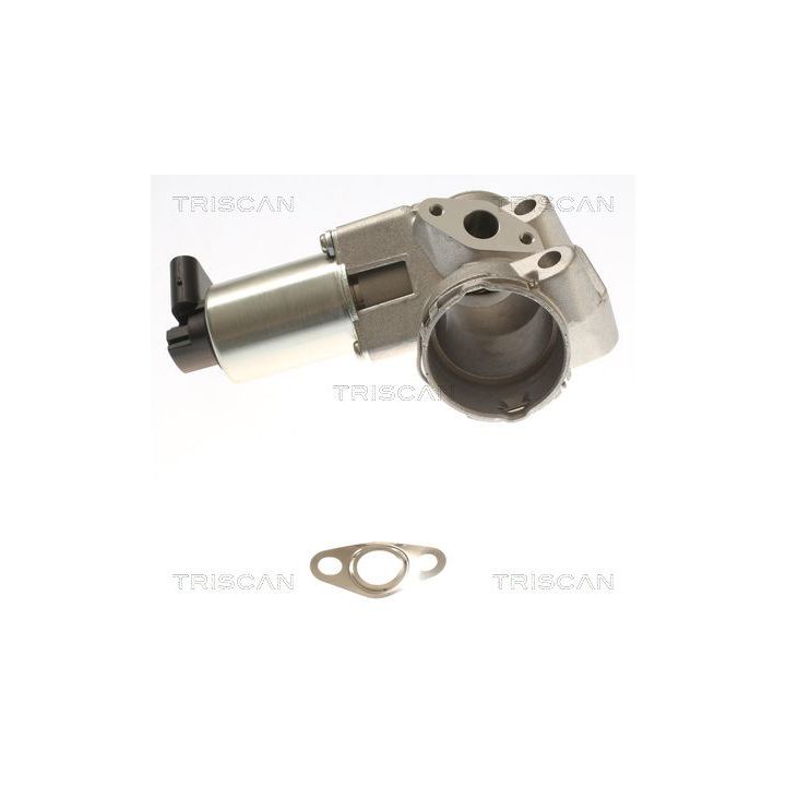 ERG vožtuvas TRISCAN 8813 23044