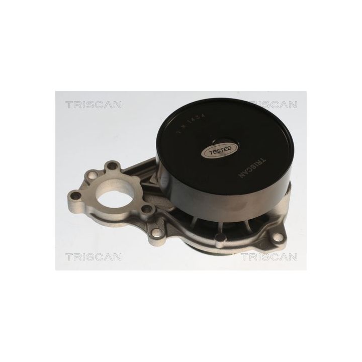 Vandens siurblys, variklio aušinimas TRISCAN 8600 11065