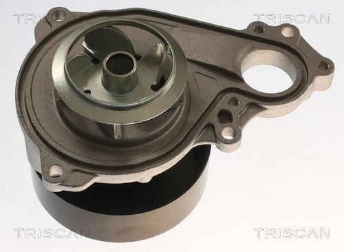 Vandens siurblys, variklio aušinimas TRISCAN 8600 11065