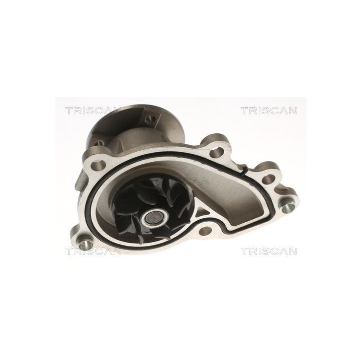 Vandens siurblys, variklio aušinimas TRISCAN 8600 43032