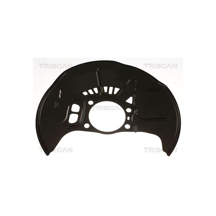 Apsauginis skydas, stabdžių diskas TRISCAN 8125 13127