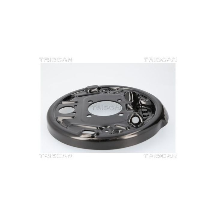 Apsauginis skydas, stabdžių diskas TRISCAN 8125 23232