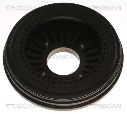 Frikcinis guolis, pakabos statramsčio atramos montavimas TRISCAN 8500 50927