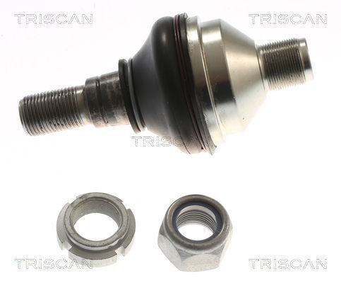 Šarnyras / girgždukas TRISCAN 8500 155004