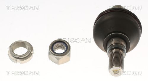 Šarnyras / girgždukas TRISCAN 8500 155004