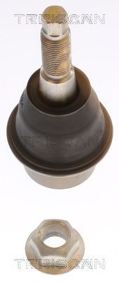 Šarnyras / girgždukas TRISCAN 8500 80579