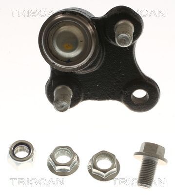 Šarnyras / girgždukas TRISCAN 8500 435087
