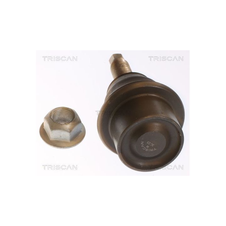 Šarnyras / girgždukas TRISCAN 8500 80579