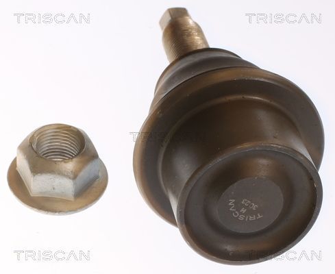 Šarnyras / girgždukas TRISCAN 8500 80579