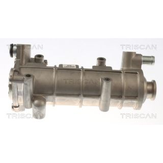 Aušintuvas, išmetamųjų dujų recirkuliacija TRISCAN 8813 10117
