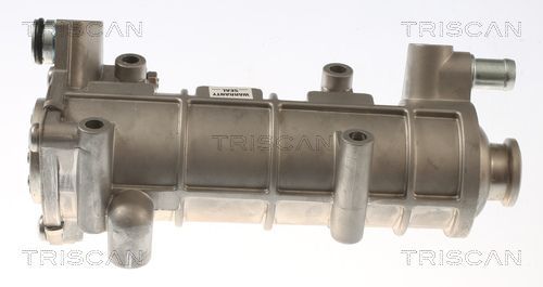 Aušintuvas, išmetamųjų dujų recirkuliacija TRISCAN 8813 10117