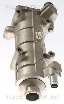 Aušintuvas, išmetamųjų dujų recirkuliacija TRISCAN 8813 10117