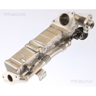 Aušintuvas, išmetamųjų dujų recirkuliacija TRISCAN 8813 11021