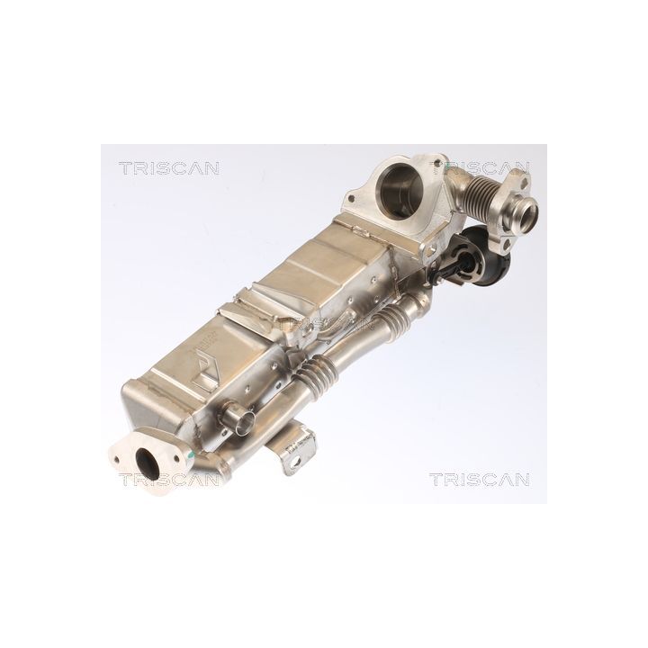 Aušintuvas, išmetamųjų dujų recirkuliacija TRISCAN 8813 11021