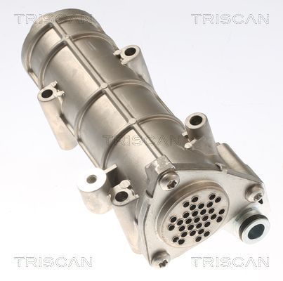 Aušintuvas, išmetamųjų dujų recirkuliacija TRISCAN 8813 10117