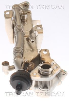 Aušintuvas, išmetamųjų dujų recirkuliacija TRISCAN 8813 11021
