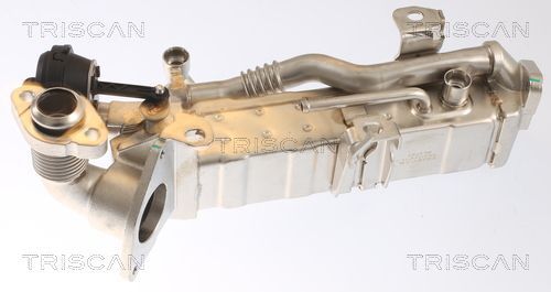 Aušintuvas, išmetamųjų dujų recirkuliacija TRISCAN 8813 11022
