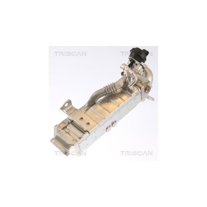Aušintuvas, išmetamųjų dujų recirkuliacija TRISCAN 8813 11022