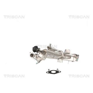 Aušintuvas, išmetamųjų dujų recirkuliacija TRISCAN 8813 11024