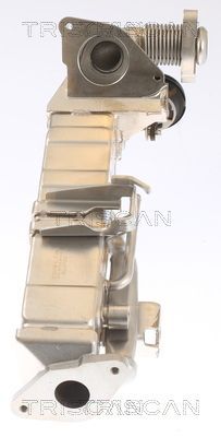 Aušintuvas, išmetamųjų dujų recirkuliacija TRISCAN 8813 11022