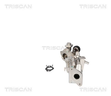Aušintuvas, išmetamųjų dujų recirkuliacija TRISCAN 8813 11024