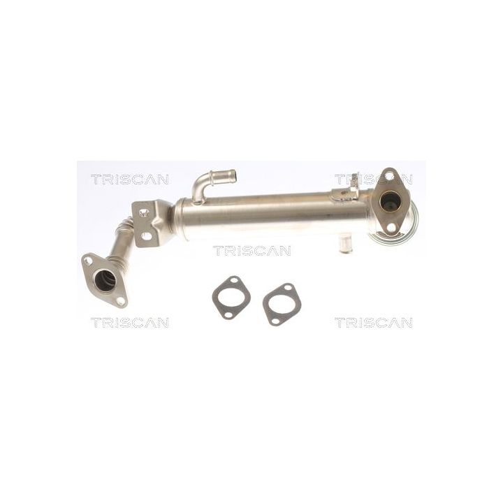 Aušintuvas, išmetamųjų dujų recirkuliacija TRISCAN 8813 15075