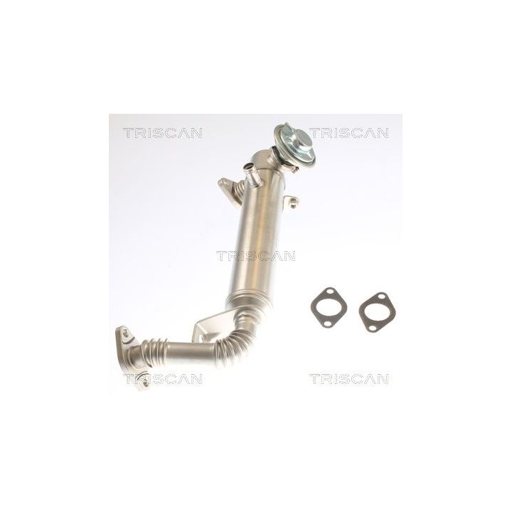 Aušintuvas, išmetamųjų dujų recirkuliacija TRISCAN 8813 15075