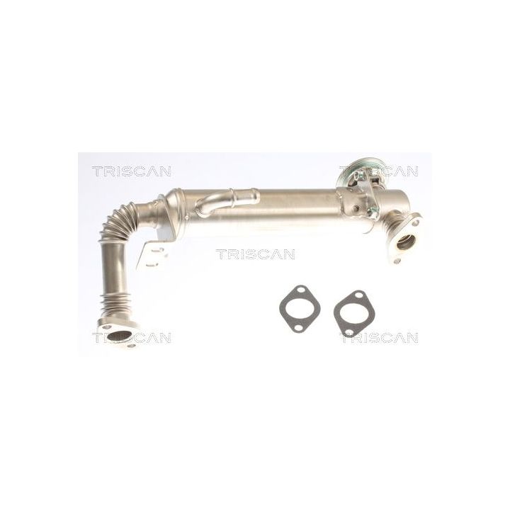 Aušintuvas, išmetamųjų dujų recirkuliacija TRISCAN 8813 15075