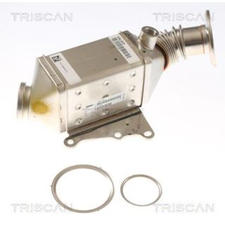 Aušintuvas, išmetamųjų dujų recirkuliacija TRISCAN 8813 15077