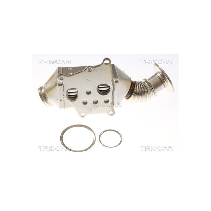 Aušintuvas, išmetamųjų dujų recirkuliacija TRISCAN 8813 15077