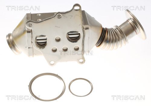 Aušintuvas, išmetamųjų dujų recirkuliacija TRISCAN 8813 15077