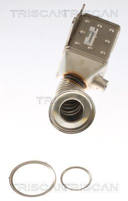 Aušintuvas, išmetamųjų dujų recirkuliacija TRISCAN 8813 15077