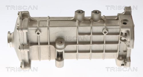 Aušintuvas, išmetamųjų dujų recirkuliacija TRISCAN 8813 15078