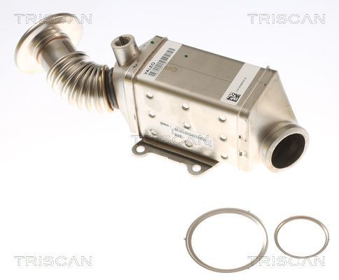 Aušintuvas, išmetamųjų dujų recirkuliacija TRISCAN 8813 15077