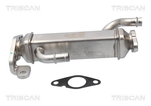 Aušintuvas, išmetamųjų dujų recirkuliacija TRISCAN 8813 15080