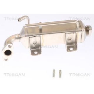 Aušintuvas, išmetamųjų dujų recirkuliacija TRISCAN 8813 16072
