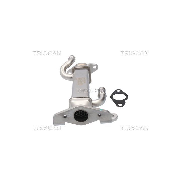 Aušintuvas, išmetamųjų dujų recirkuliacija TRISCAN 8813 15080