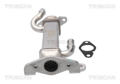 Aušintuvas, išmetamųjų dujų recirkuliacija TRISCAN 8813 15080