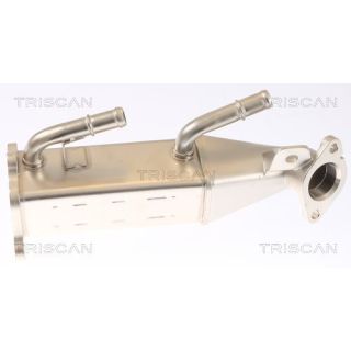 Aušintuvas, išmetamųjų dujų recirkuliacija TRISCAN 8813 16073