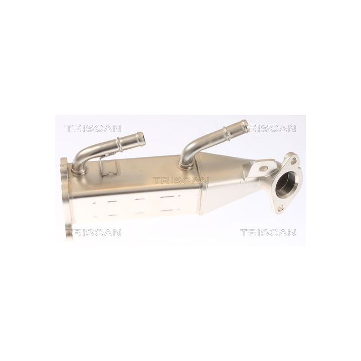 Aušintuvas, išmetamųjų dujų recirkuliacija TRISCAN 8813 16073