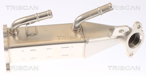 Aušintuvas, išmetamųjų dujų recirkuliacija TRISCAN 8813 16073