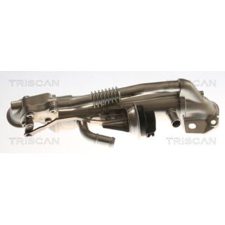Aušintuvas, išmetamųjų dujų recirkuliacija TRISCAN 8813 16116