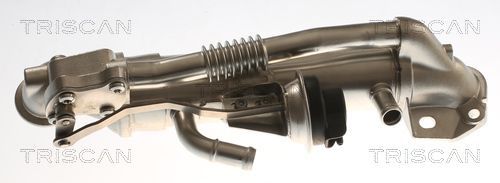 Aušintuvas, išmetamųjų dujų recirkuliacija TRISCAN 8813 16116